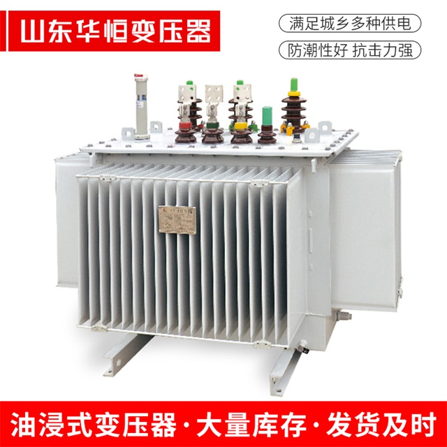 S13-10000/35工布江达工布江达工布江达电力变压器